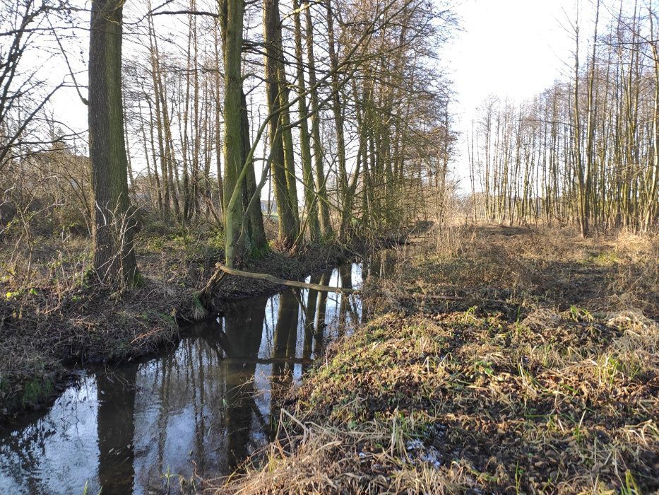 Działka rolno-budowlana Rzeczyca, ul. Łąkowa. Zdjęcie 3