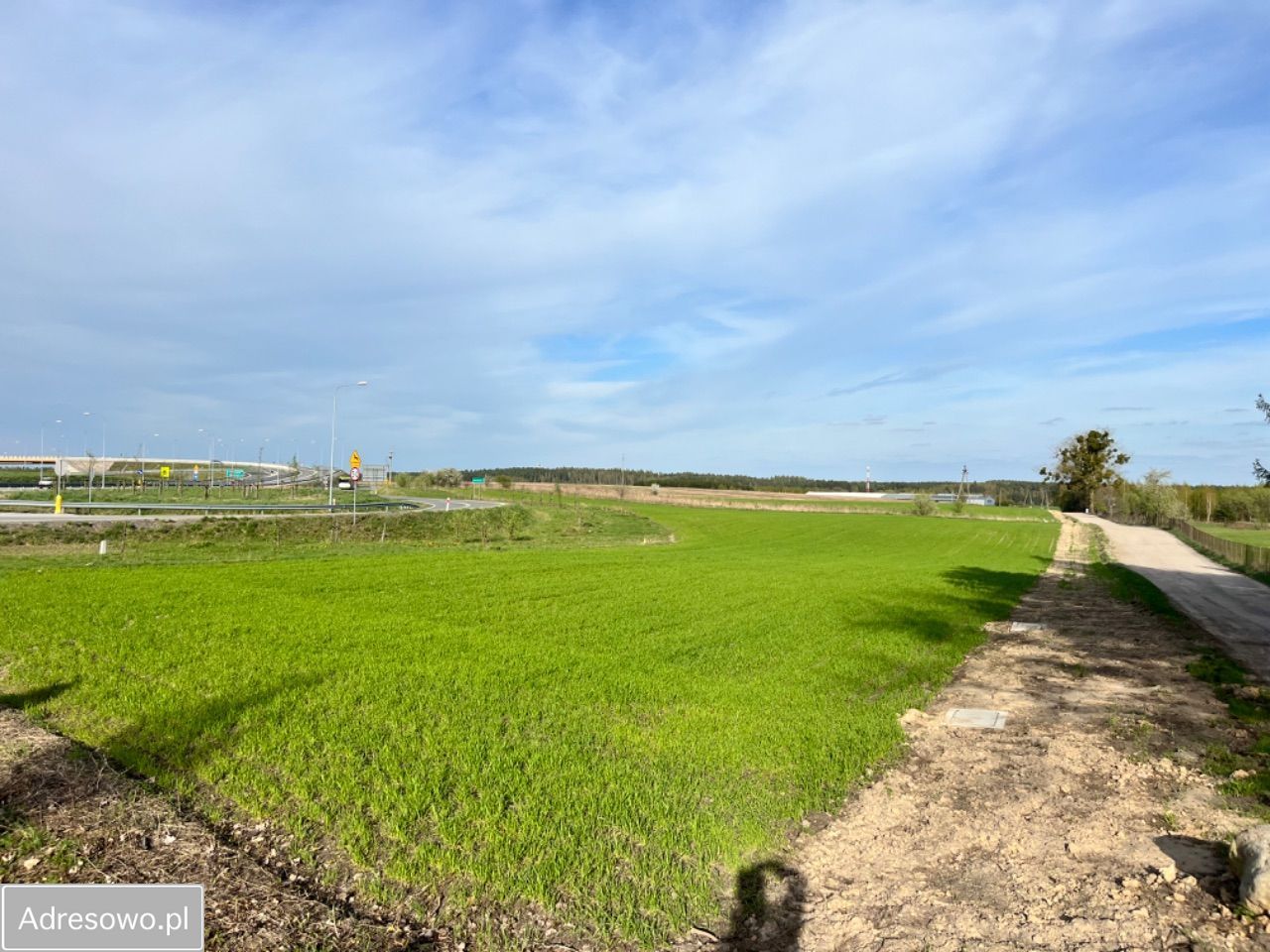 Działka inwestycyjna Gryźliny. Zdjęcie 4