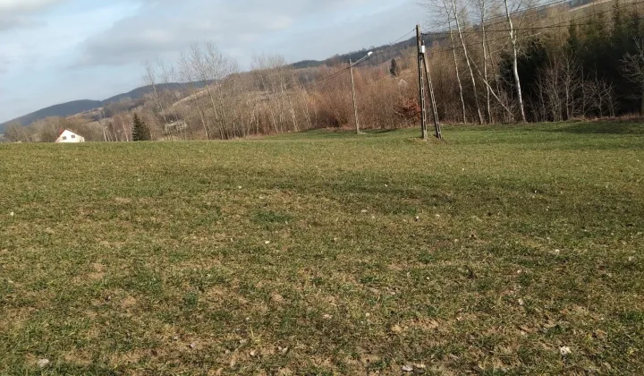 Działka rolno-budowlana Dzwonowa