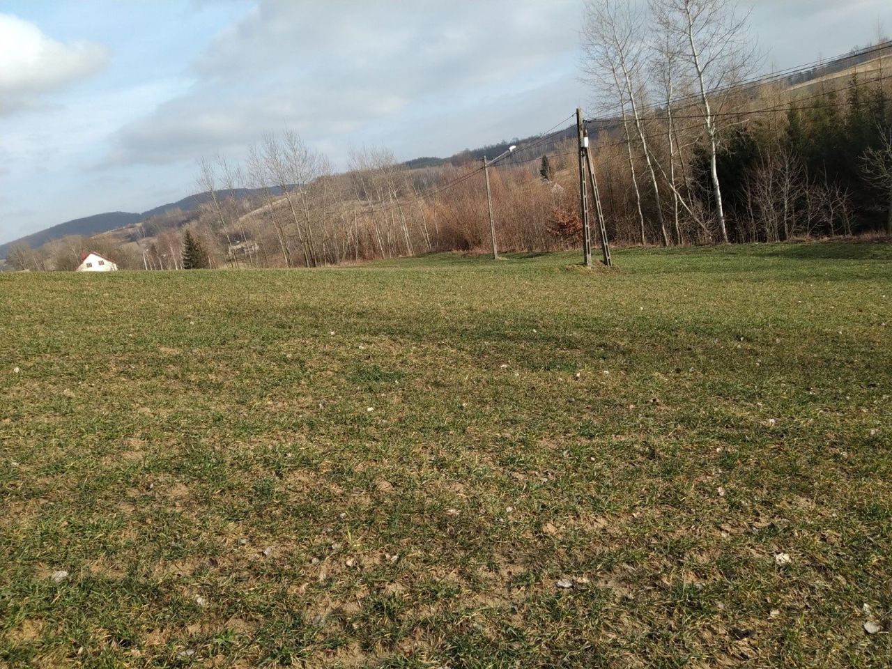 Działka rolno-budowlana Dzwonowa. Zdjęcie 1