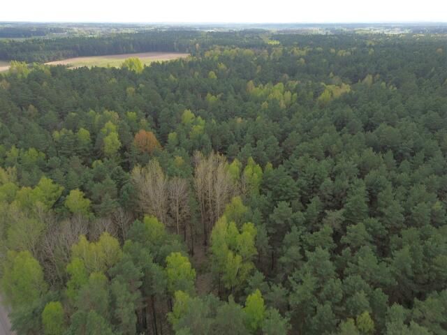 Działka Barszczewo. Zdjęcie 9