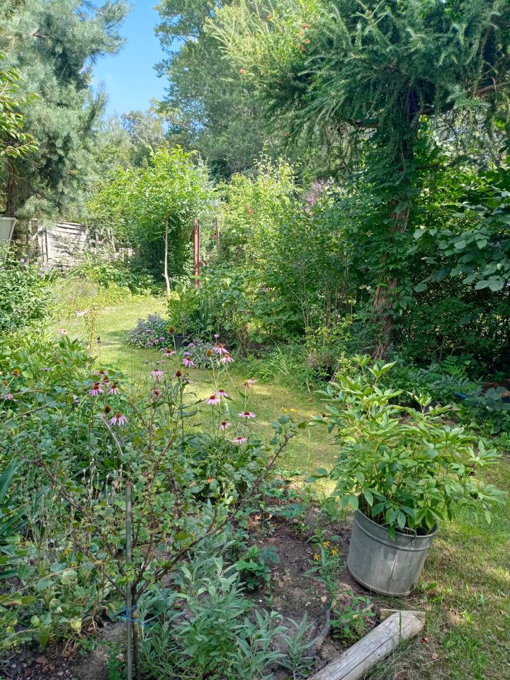 Działka rekreacyjna Wrocław Bierdzany, ul. Nizinna. Zdjęcie 32