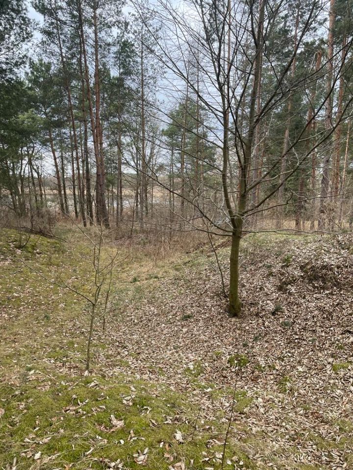 Działka inwestycyjna Osnówka. Zdjęcie 6