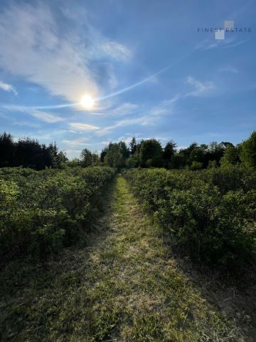 Działka budowlana Podkampinos, ul. Jagodowa. Zdjęcie 9