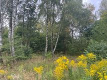 Działka budowlana Rawiczów