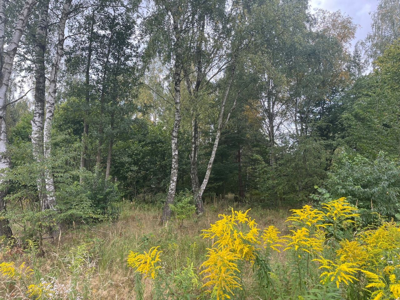 Działka budowlana Rawiczów