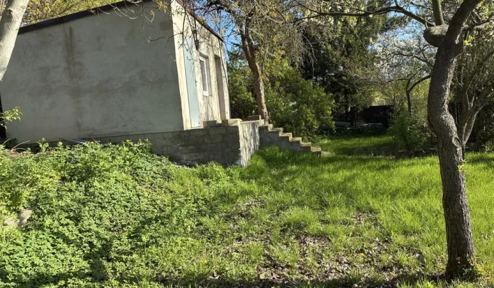 Działka rod Gniezno, ul. Polna