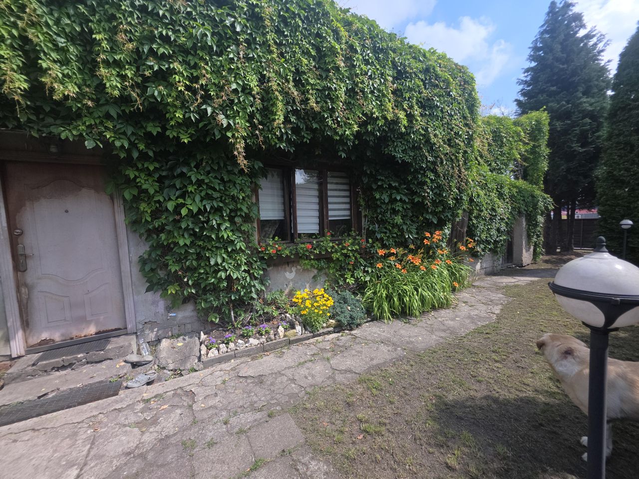 dom wolnostojący, 3 pokoje Częstochowa Raków, ul. Limanowskiego. Zdjęcie 37