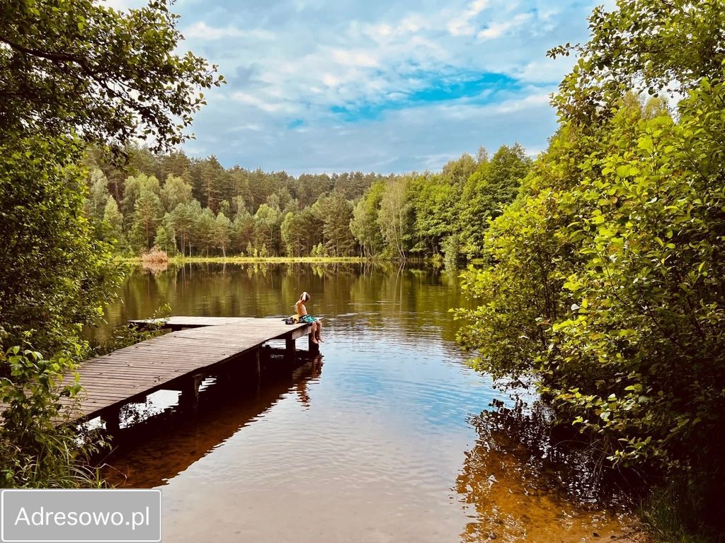 dom wolnostojący, 5 pokoi Likusy. Zdjęcie 6