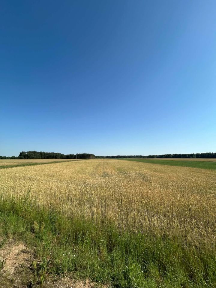 Działka rolna Bużyska. Zdjęcie 8