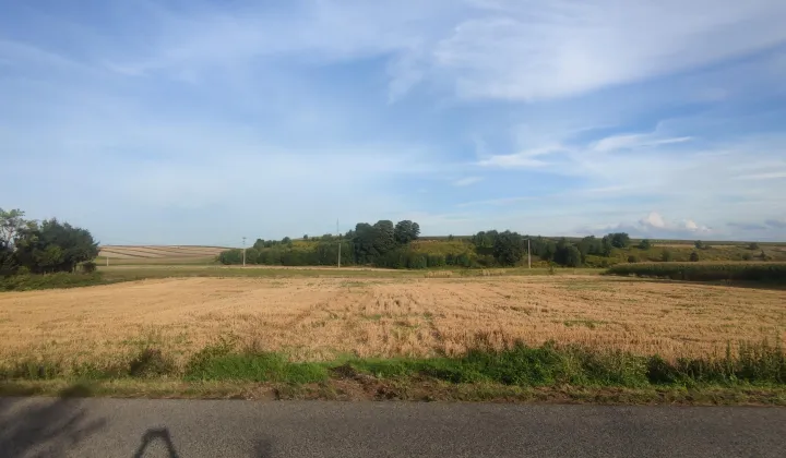 Działka budowlana Prandocin-Iły