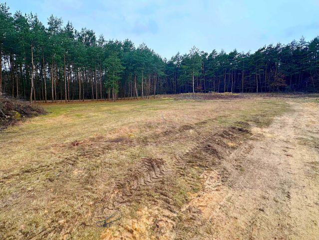 Działka budowlana Ludwikowo. Zdjęcie 1