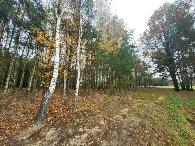 Działka rekreacyjna Wola Młocka. Zdjęcie 3