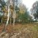 Działka rekreacyjna Wola Młocka. Zdjęcie 3