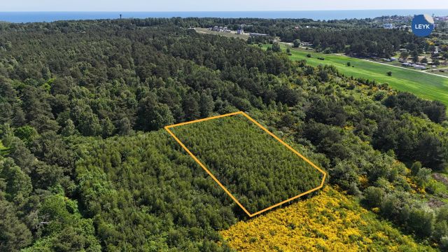 Działka rekreacyjna Chłapowo, Jastrzębia. Zdjęcie 1