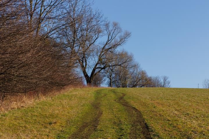 Działka budowlana Bielsko-Biała Stare Bielsko, ul. Francuska. Zdjęcie 8