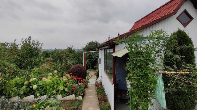 Działka rod Gryfino. Zdjęcie 1