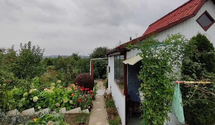 Działka rod Gryfino