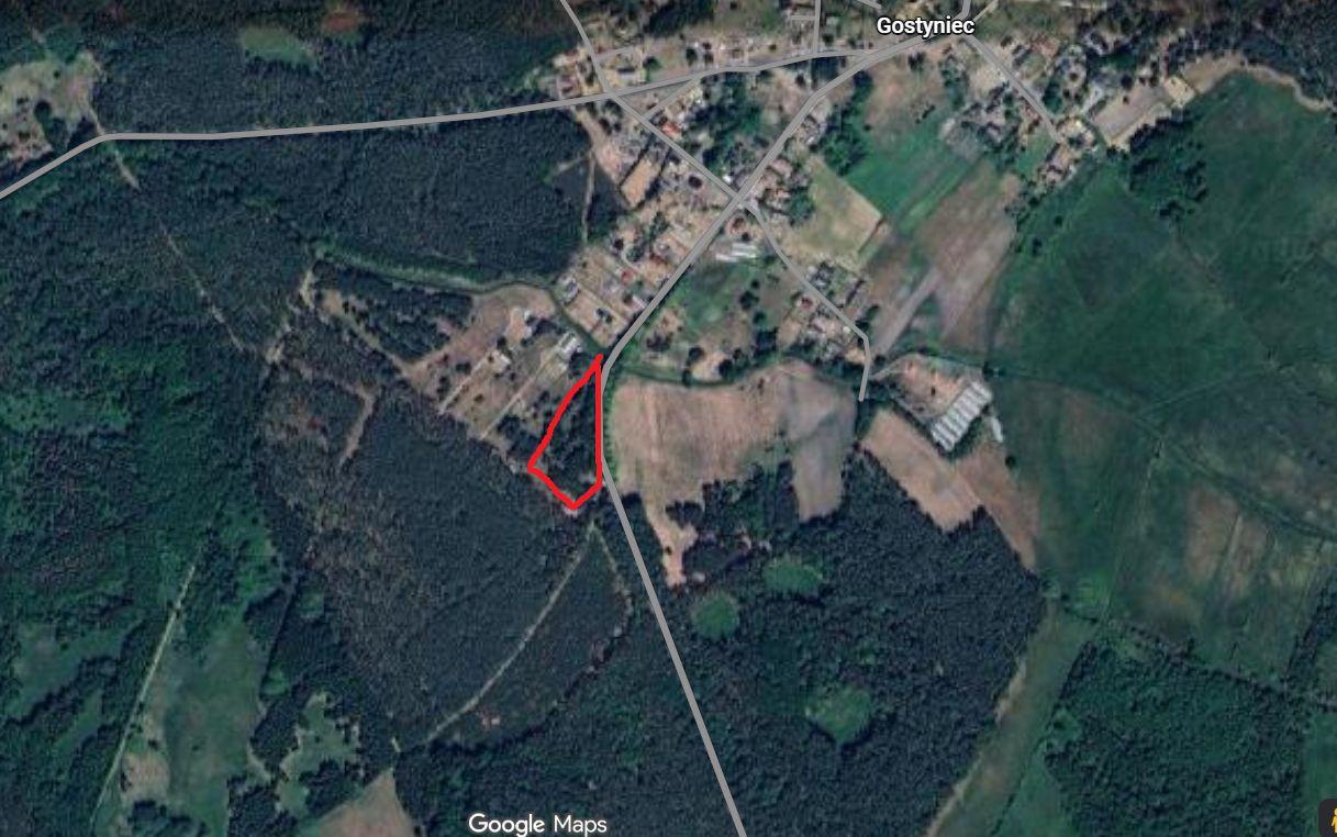 Działka rolno-budowlana Gostyniec. Zdjęcie 1