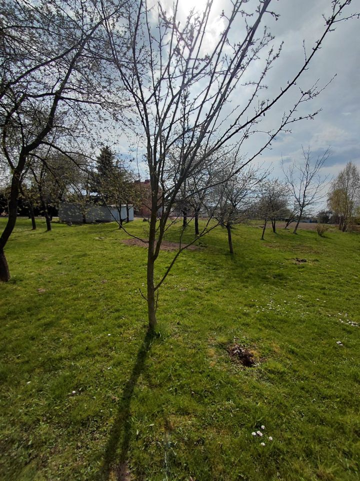 Działka rolno-budowlana Malawa. Zdjęcie 3