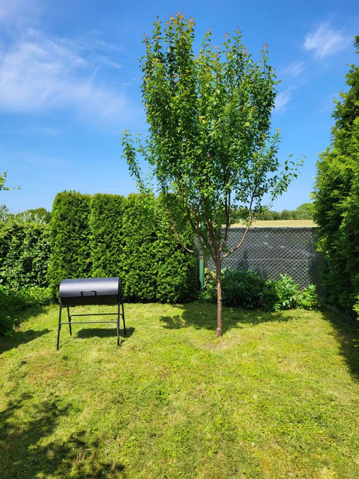 Działka rekreacyjna Lubin, ul. Ścinawska. Zdjęcie 2