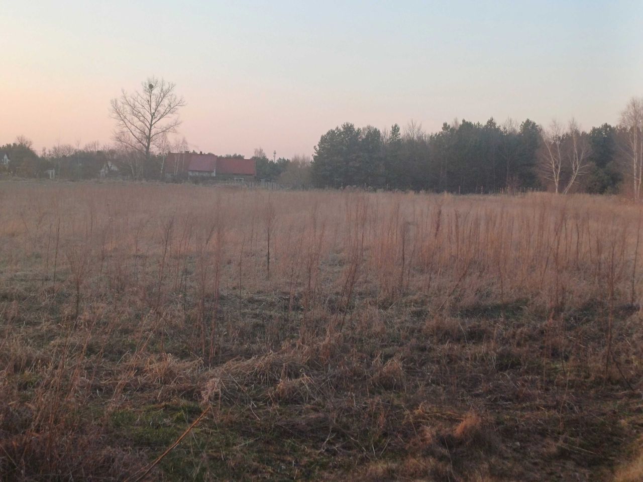 Działka budowlana Dziadowa Kłoda. Zdjęcie 3