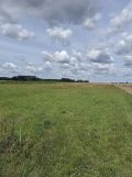 Działka rolno-budowlana Borki Siedleckie, ul. Leśna. Zdjęcie 3