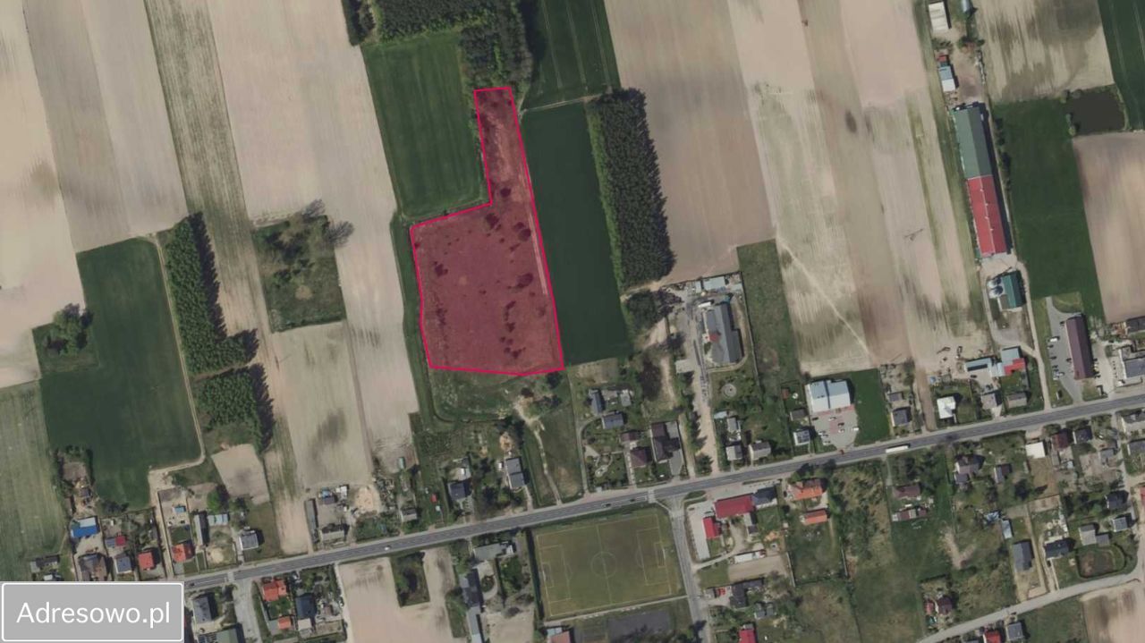 Działka budowlana Dąbrowa Biskupia. Zdjęcie 2