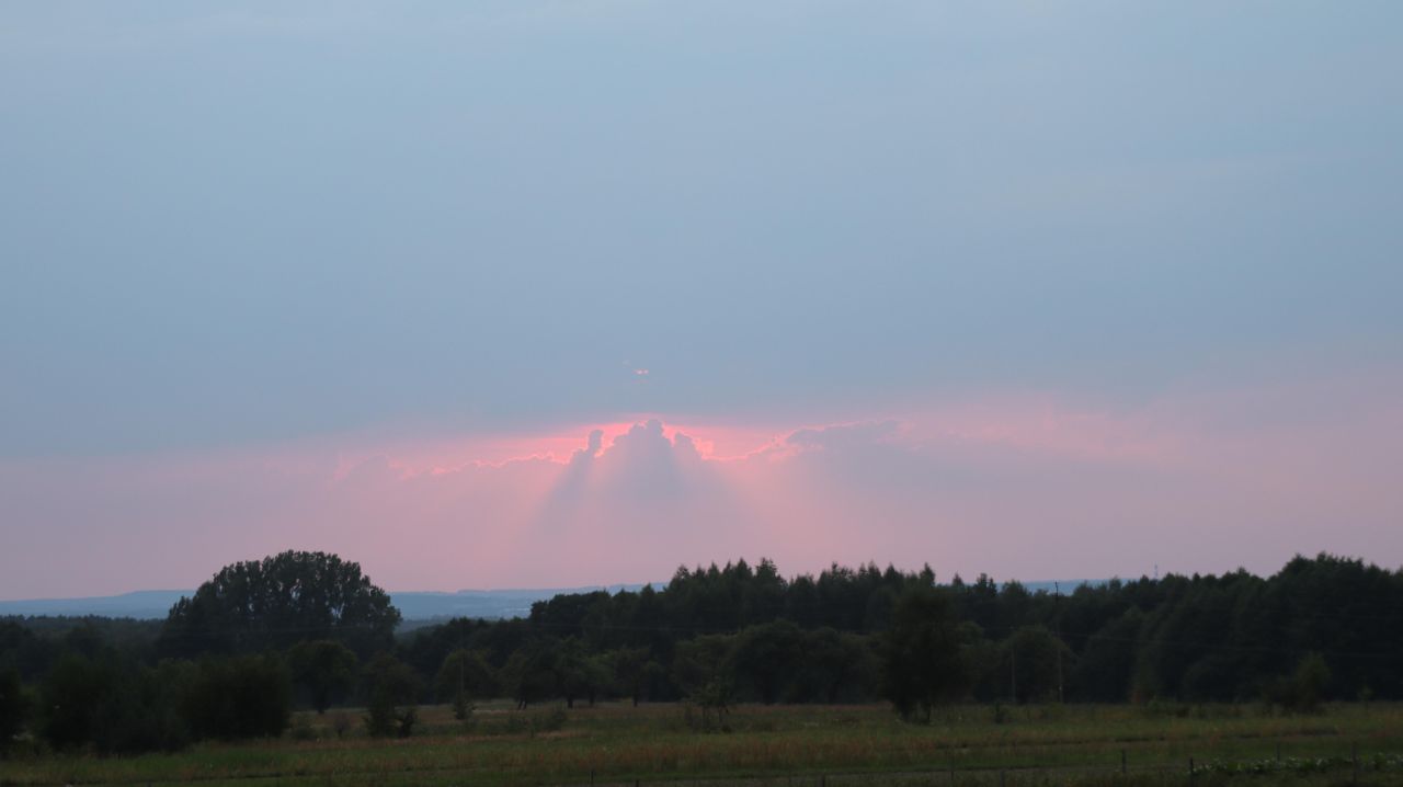 Działka budowlana Stużno. Zdjęcie 3