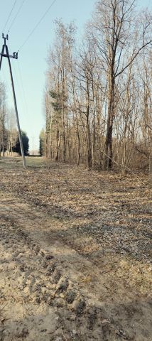 Działka rolno-budowlana Wylewa. Zdjęcie 1