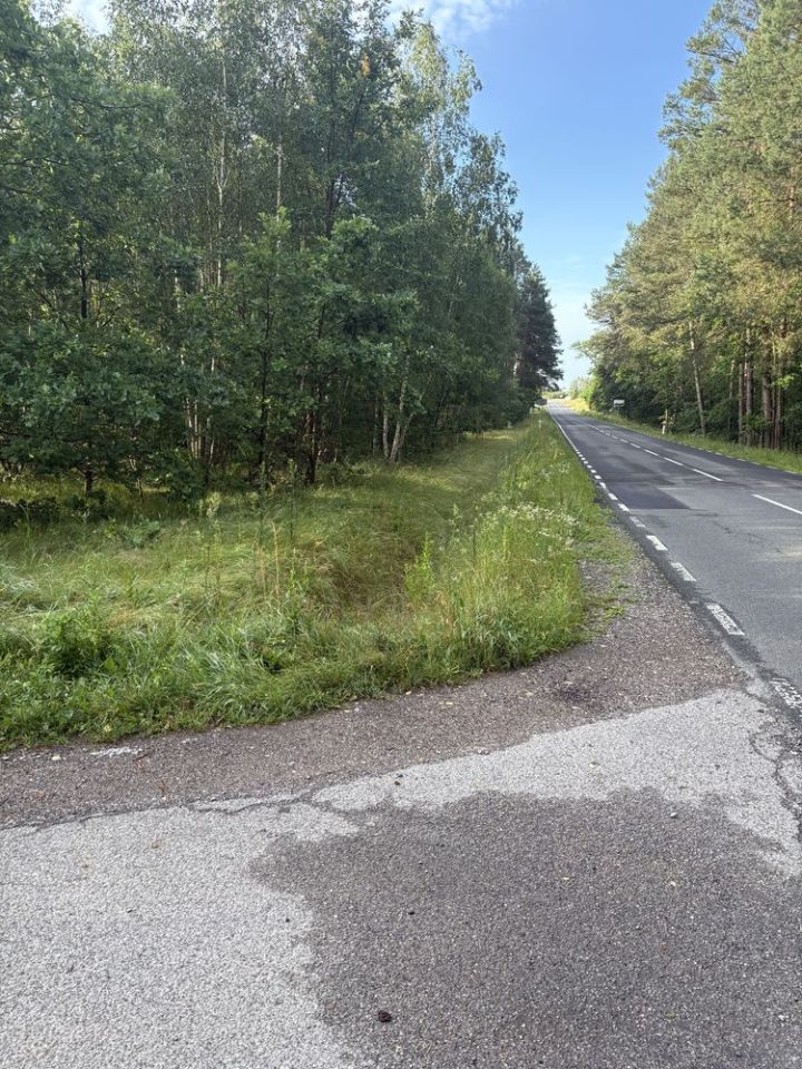 Działka budowlana Olszowe. Zdjęcie 4