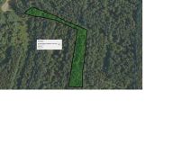 Działka leśna Bielcza. Zdjęcie 2