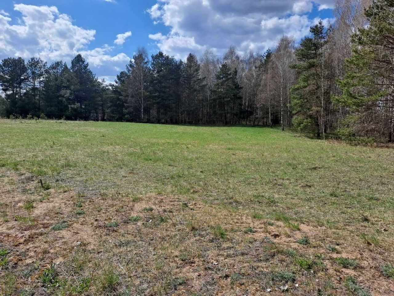 Działka budowlana Jabłonka. Zdjęcie 4