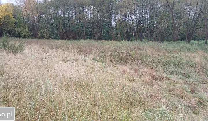 Działka rolno-budowlana Krzęcin