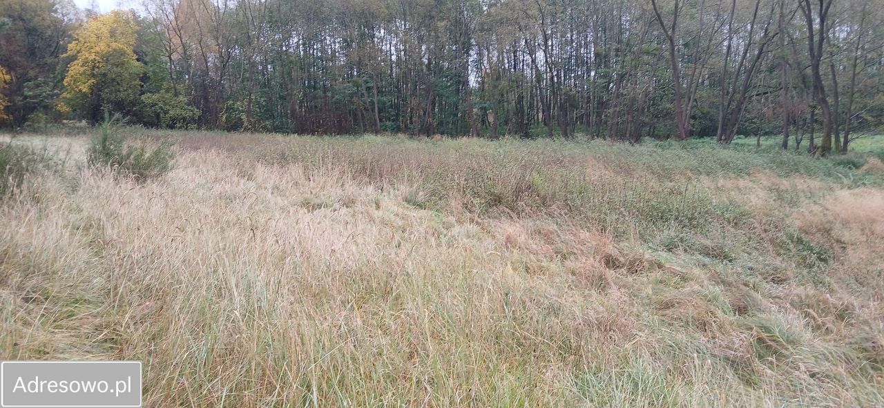Działka rolno-budowlana Krzęcin