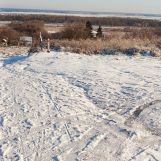 Działka rod Szczecin Bukowo, ul. Podgórna. Zdjęcie 3