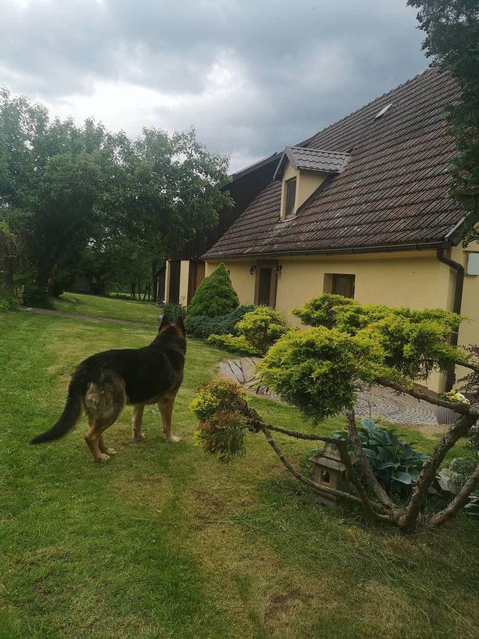 dom wolnostojący, 5 pokoi Nowa Ruda Słupiec. Zdjęcie 5