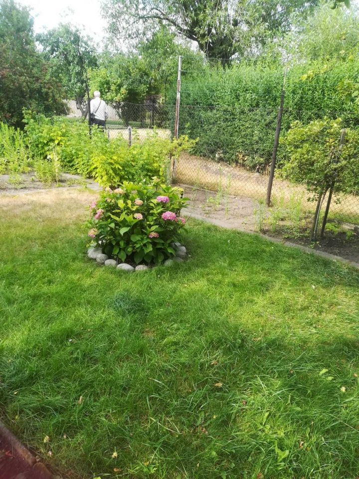 Działka rod Gliwice, ul. Andrzeja Mielęckiego. Zdjęcie 7