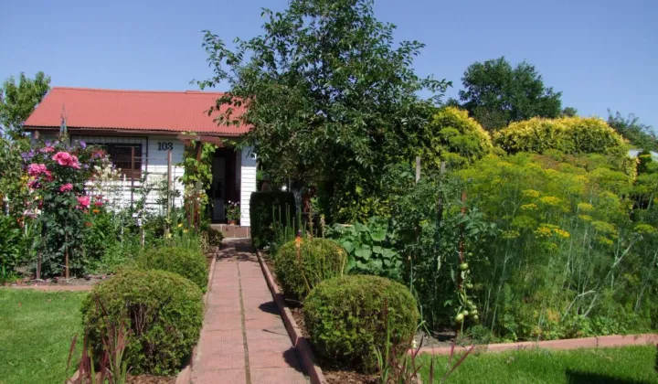 Działka rekreacyjna Skarżysko-Kamienna Dolna Kamienna, ul. Piękna