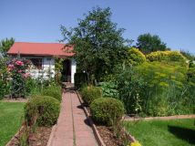 Działka rekreacyjna Skarżysko-Kamienna Dolna Kamienna, ul. Piękna