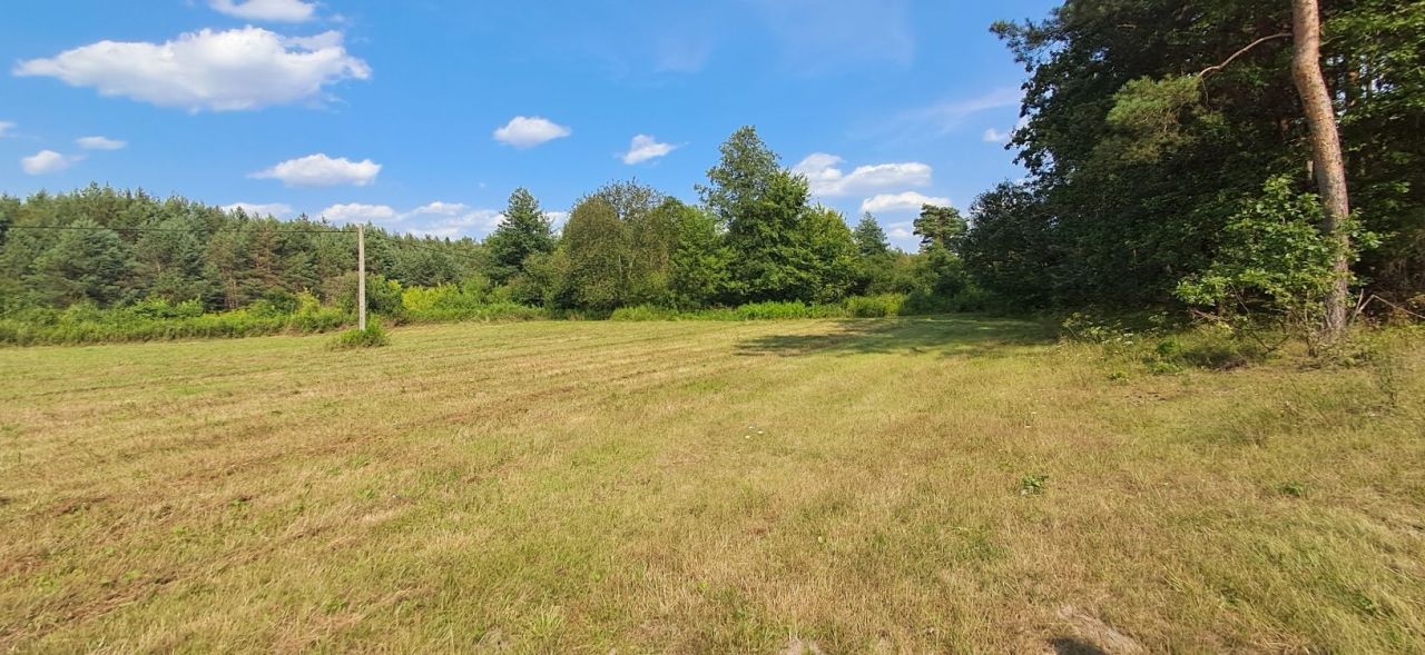 Działka Borów. Zdjęcie 8