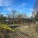 Działka rod Kielce Barwinek, ul. Wrzosowa. Zdjęcie 4