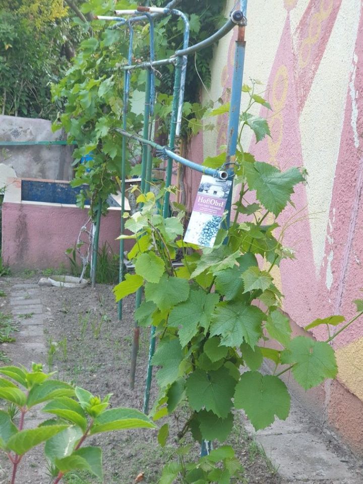 Działka rod Bolesławiec. Zdjęcie 2