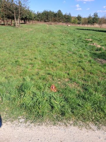 Działka budowlana Błonie. Zdjęcie 1