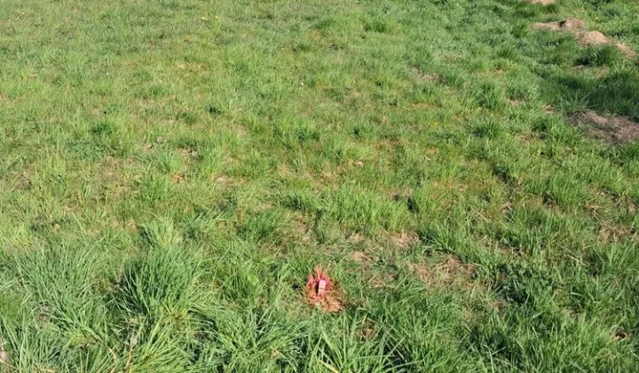 Działka budowlana Błonie