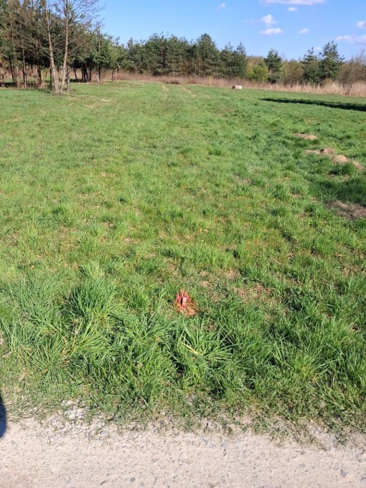 Działka budowlana Błonie. Zdjęcie 1