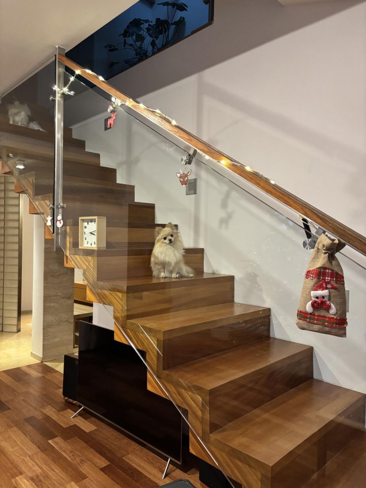 Mieszkanie 5-pokojowe Warszawa Bielany, ul. Zgrupowania "Żubr". Zdjęcie 21