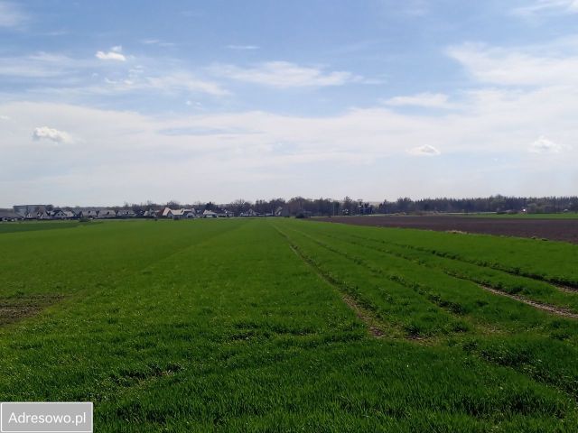 Działka inwestycyjna Rawicz, ul. Pogodna. Zdjęcie 1