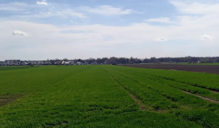 Działka inwestycyjna Rawicz, ul. Pogodna