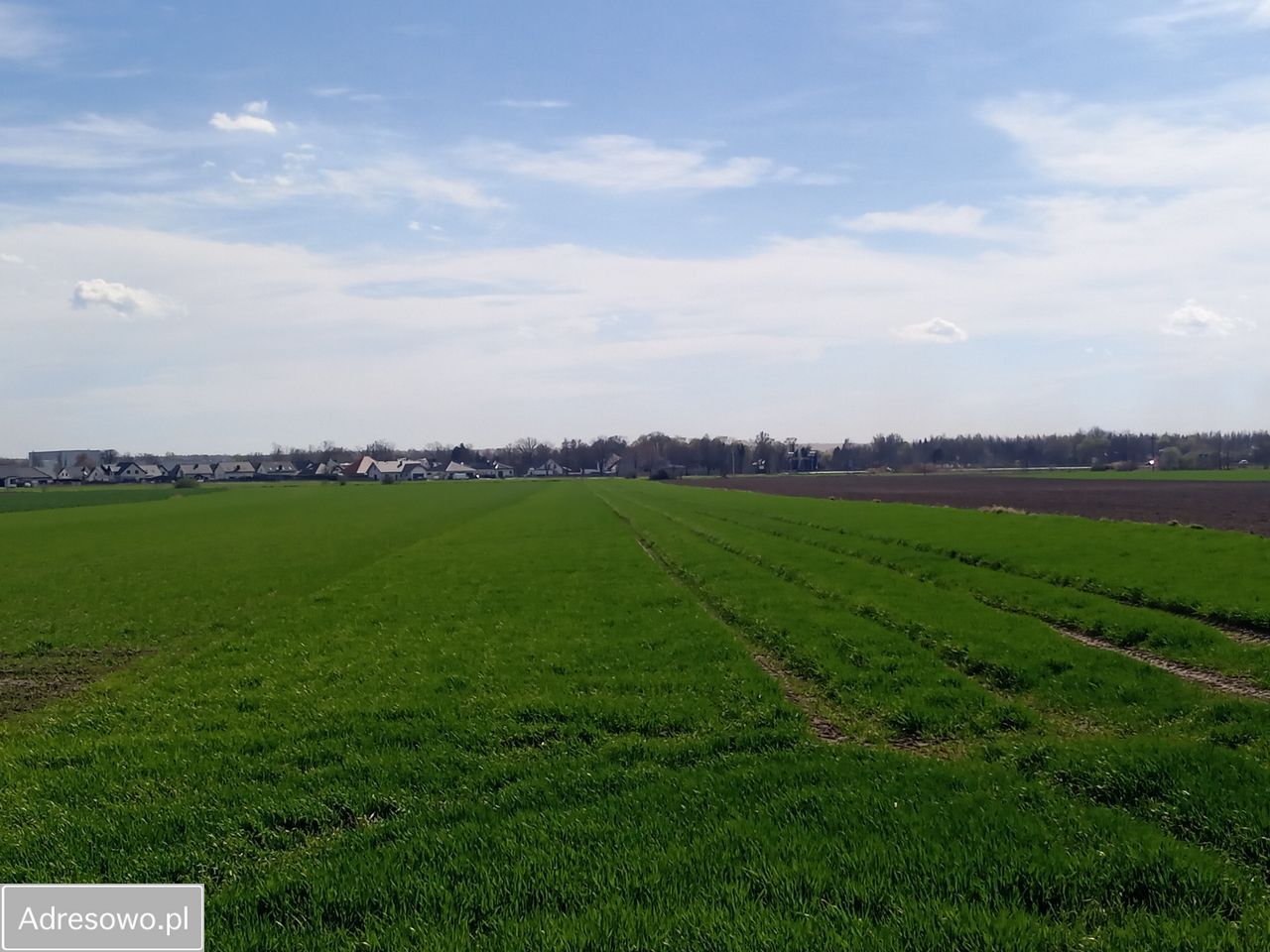 Działka inwestycyjna Rawicz, ul. Pogodna. Zdjęcie 1